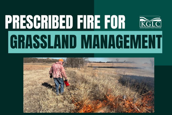The Power of Prescribed Fire in Managing Grasslands