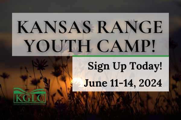 2024 Range Youth Camp