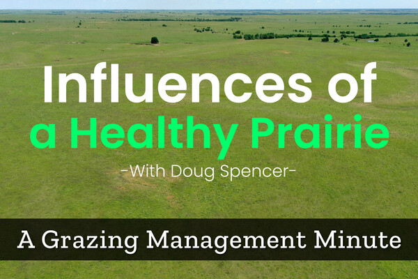 What Influences the Health of a Prairie?