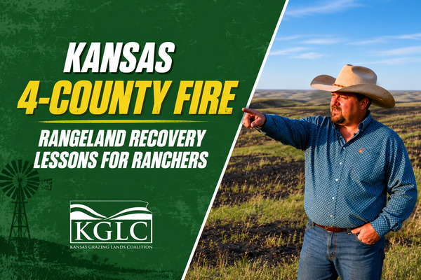 Kansas 4-County Wildfire: Rangeland Recovery Lessons for Great Plains Ranchers After the Fire