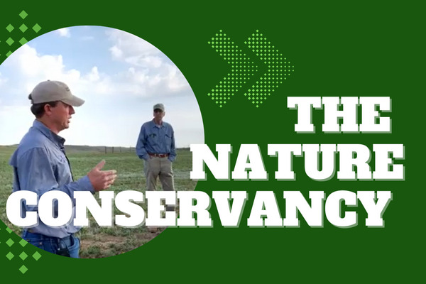 Nature Conservancy : Protecting the Last Large Intact Grasslands