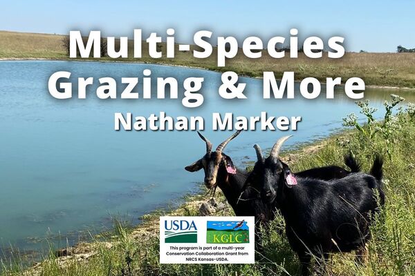 Multi-Species Grazing & More