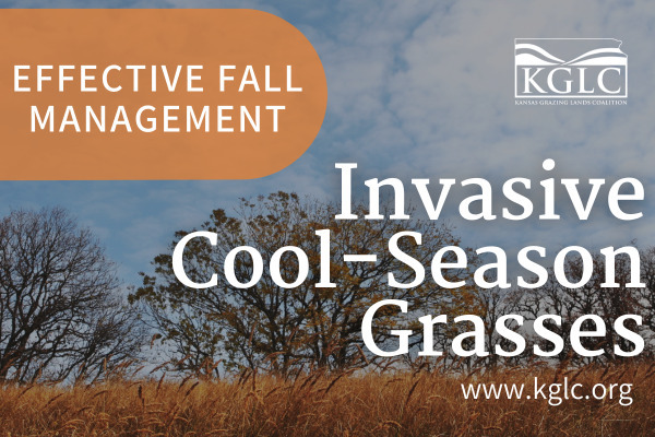 Effective Fall Management of Invasive Cool-Season Grasses: Strategies for Healthier Native Grasslands